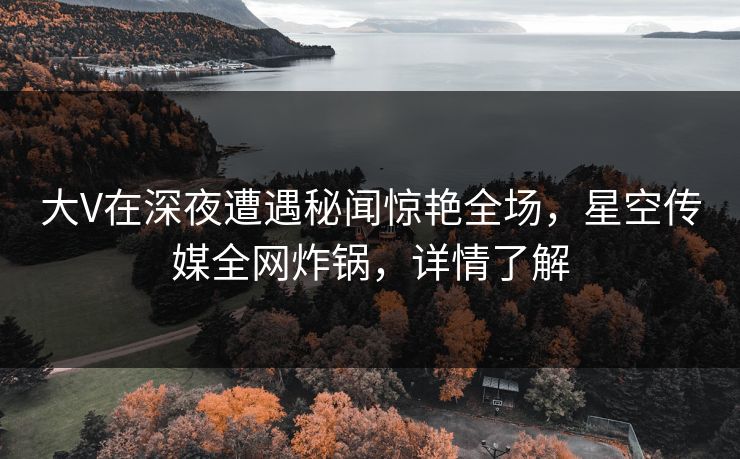 大V在深夜遭遇秘闻惊艳全场，星空传媒全网炸锅，详情了解